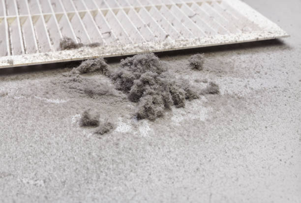 Best HVAC Duct Inspection Services  in Fowlkes, TN
