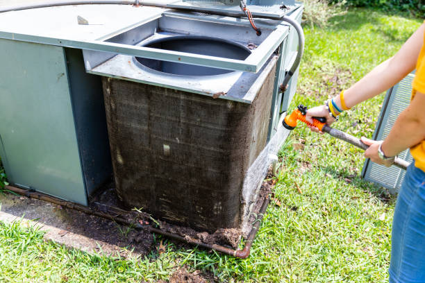 Best Air Duct Mold Removal  in Fowlkes, TN