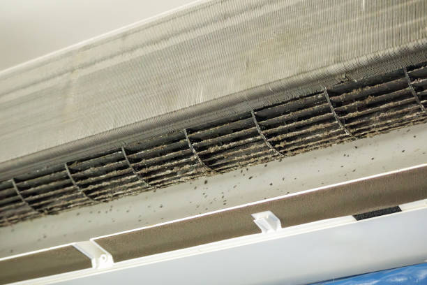 Best HVAC Duct Inspection Services  in Fowlkes, TN