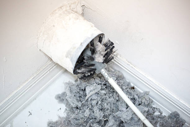 Best Professional Duct Cleaning Services  in Fowlkes, TN
